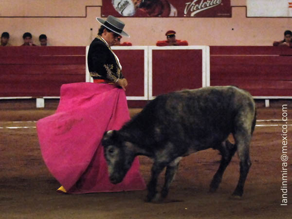 Remate de Pedro Vaca