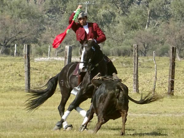 Paco Vel�zquez en Zacatepec