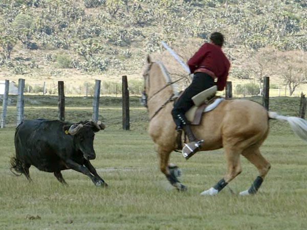 Toreando a cabllo