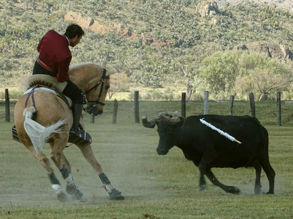 Ensayando de costado