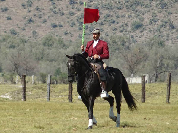 Simulando el de castigo