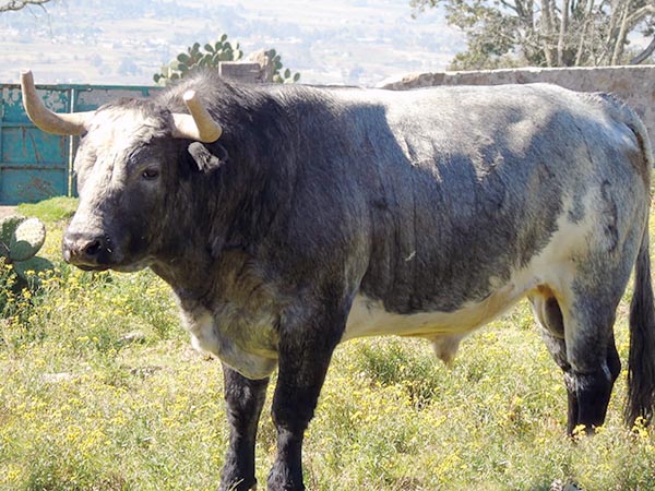 No. 148 de Arroyo Zarco