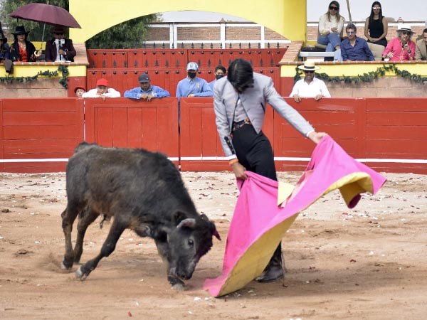 Sentidas ver�nicas