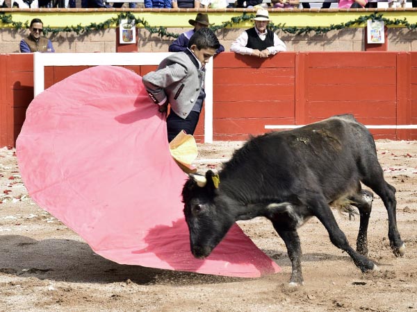Los vuelos del percal