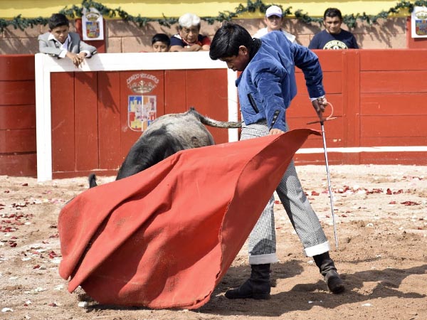 Sentimiento al natural