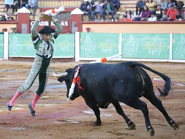 Gerardo Angelino, cumbre