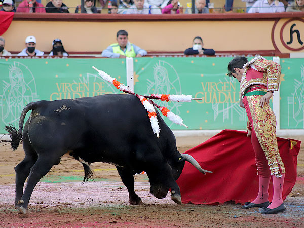 Calidad en la embestida