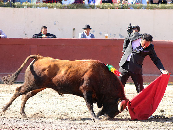 Trazo, quietud y empaque