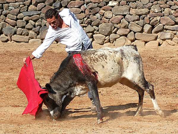 Xavier Ocampo, asentao