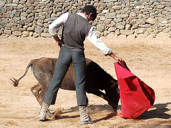 Ferm�n Rivera, bien toreado