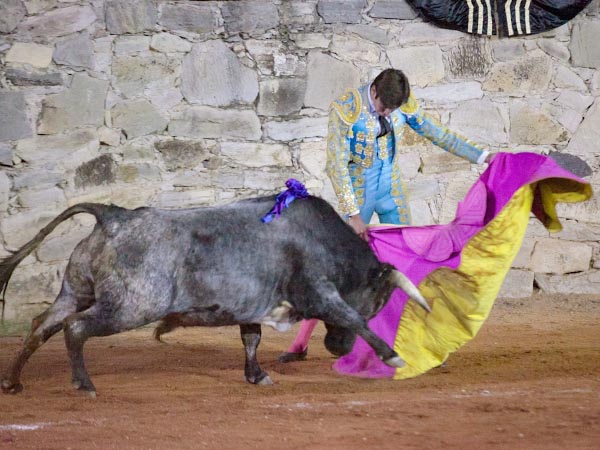 El saludo de Arellano