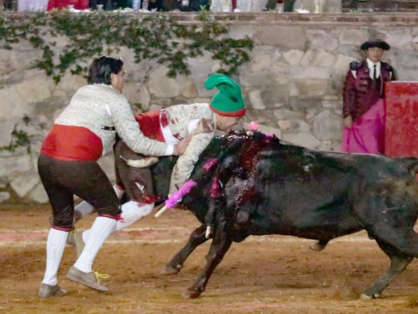 Valientes forcados en la pega