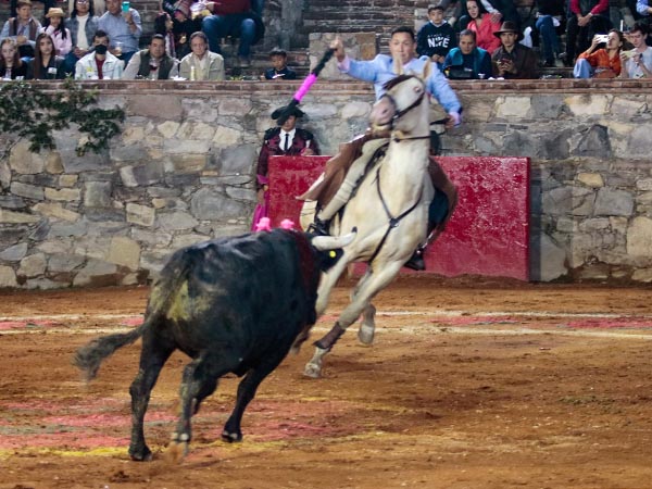 Mario, oficiando en banderillas
