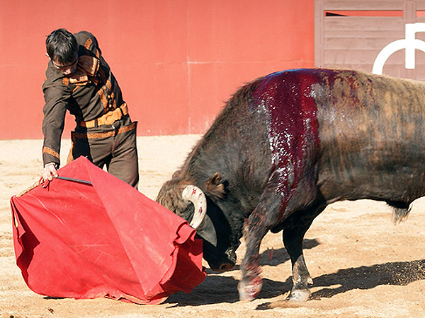 Hab�a que someterlo mucho