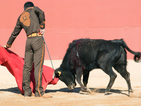 Con los vuelos de la muleta