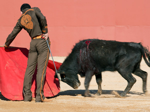 Por el pit�n izquierdo