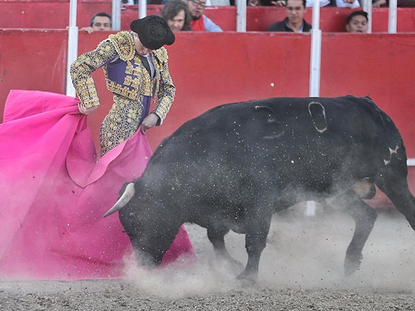 Expresivo y con clase