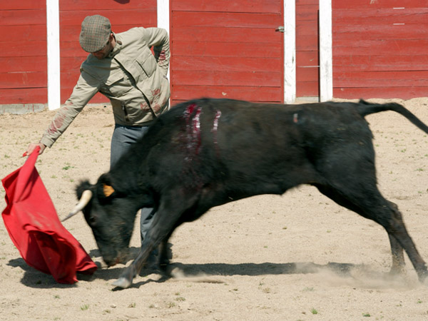 El �mpetu de la erala