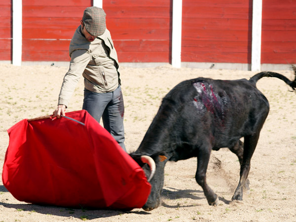 Sintiendo la embestida