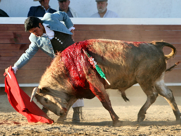 Un redondo de Rogelio S�nchez