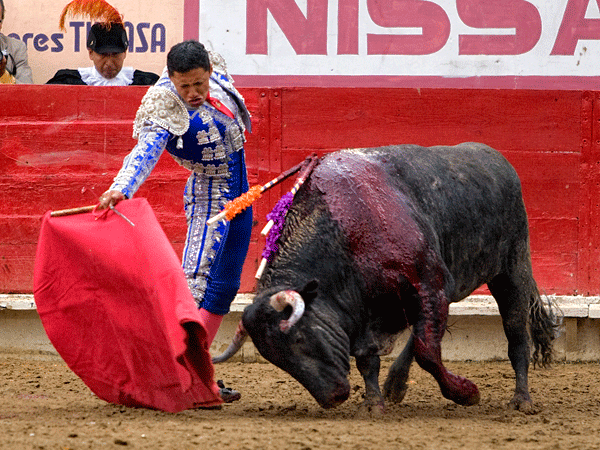 La entrega de Pa�l