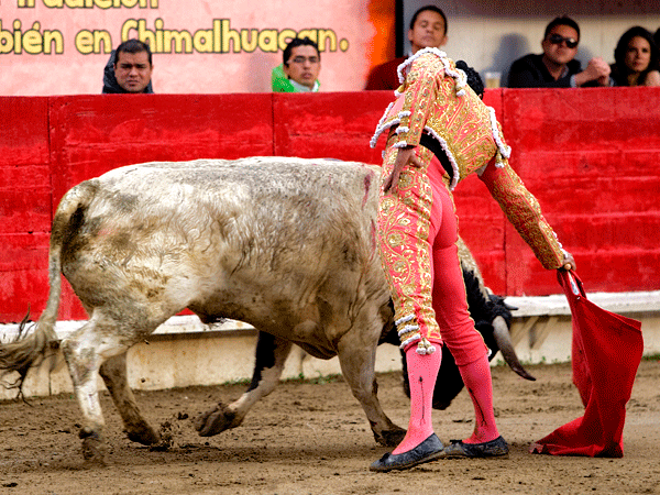 Le sac� los muletazos