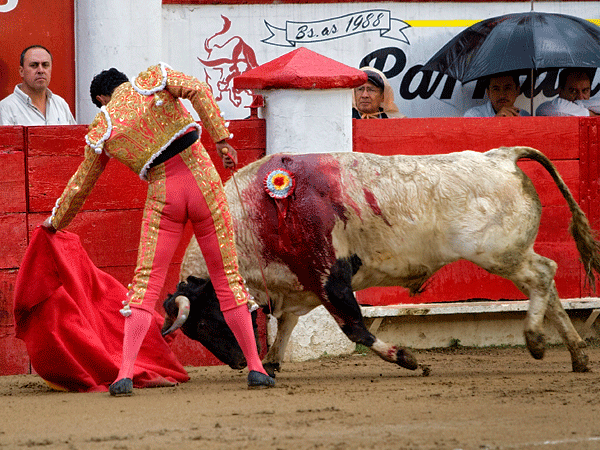 Aprovechando las pocas embestidas