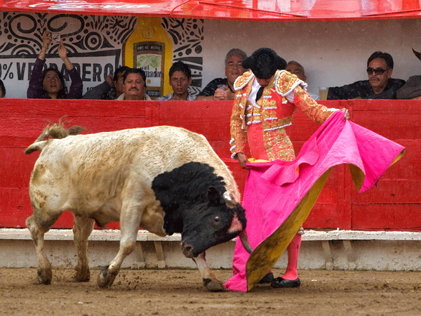 Garibay, cada d�a mejor