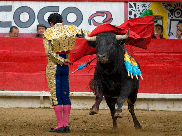 Finalizando su faena