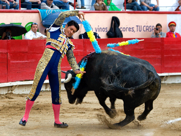 Espectacular par al quiebro