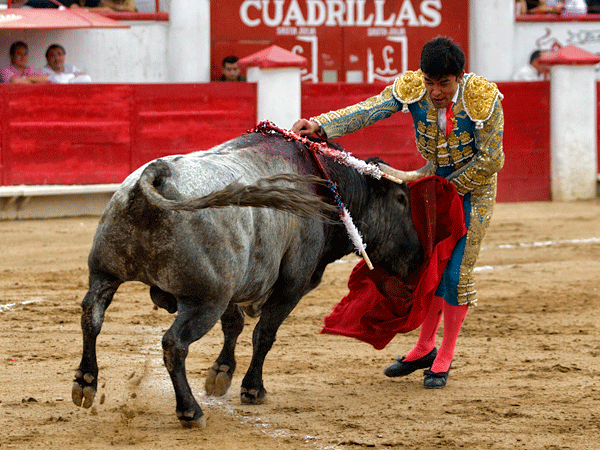 La estocada vali� la oreja