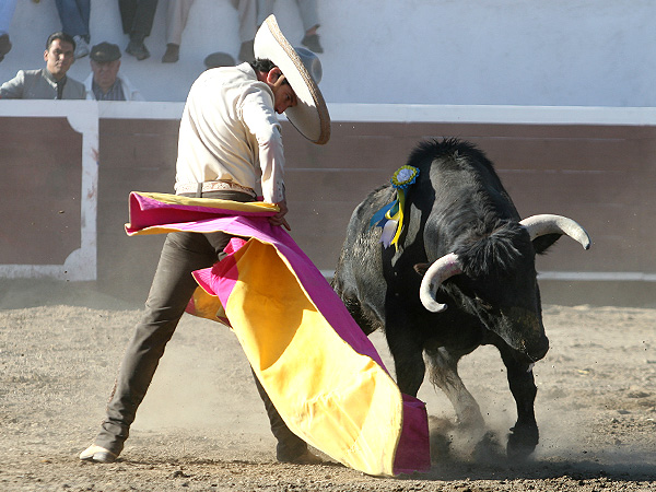 Buena media ver�nica de Jer�nimo