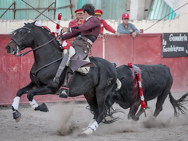 Al galope, de costado