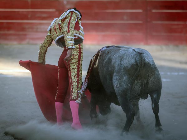 Embisti� y embisti�