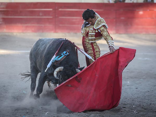 Nobleza del ejemplar