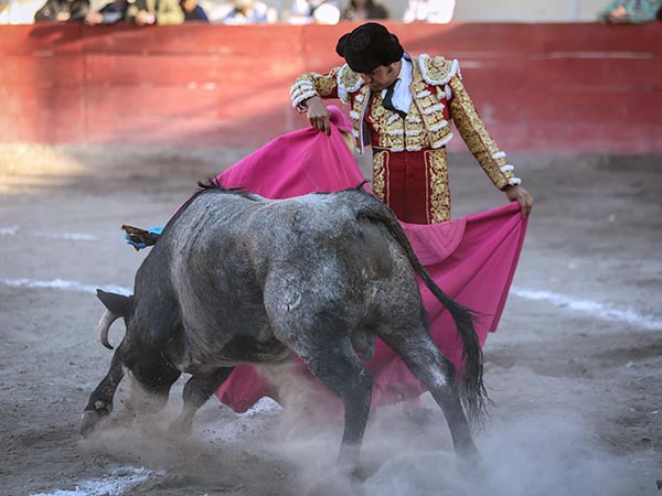 Bueno desde el inicio de faena