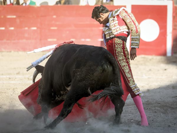 La barbilla en el pecho