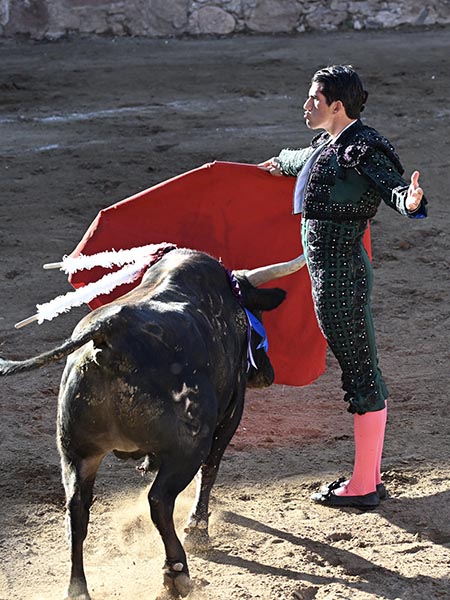 Dominio de las suertes