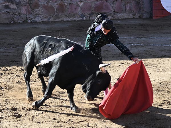 Llev�ndolo toreado