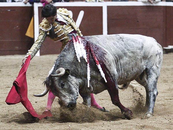 La faena derechista de Luis David