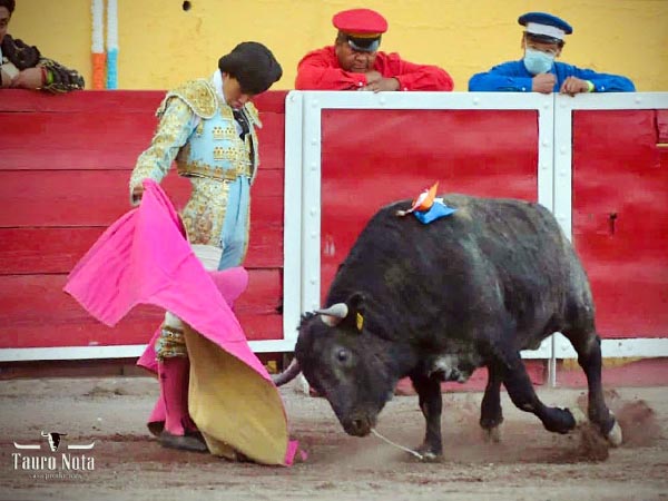 Recibo por ver�nicas