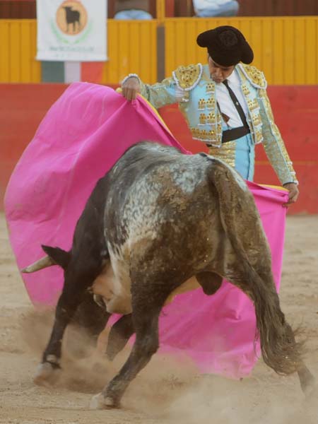 Chicuelina de Garibay