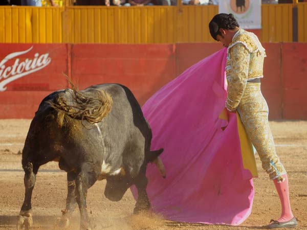 Su especialidad las ver�nicas