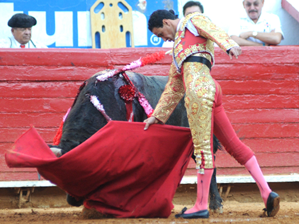 Expresiva tauromaquia de Sp�nola
