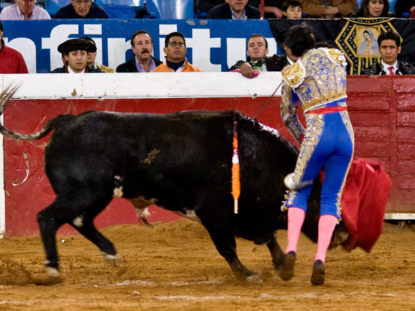 El toro hizo por Casasola (S.H)