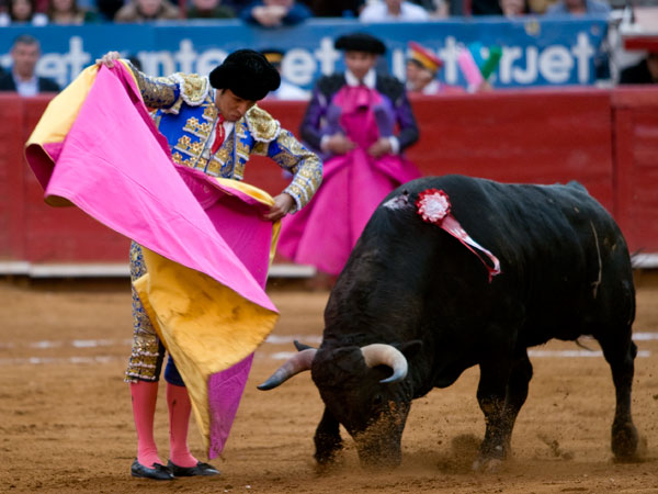 El inicio de la caleserina (S.H)