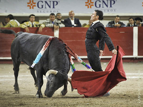 En el gusto hidroc�lido