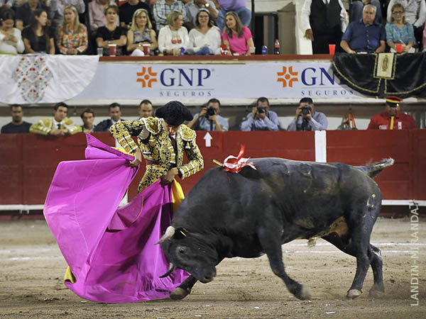 Bol�var, empaque y solvencia