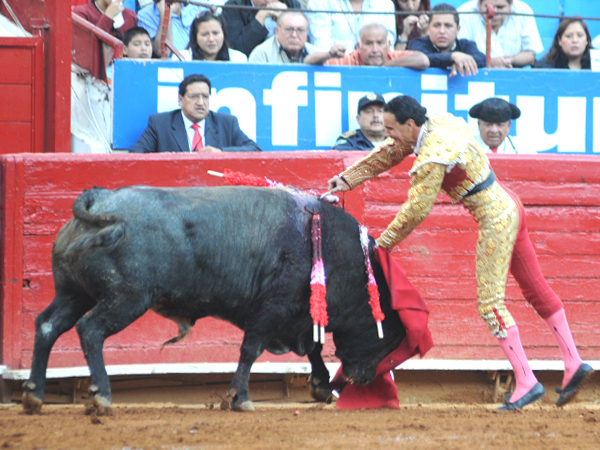 Estocada que  cort� orejas (T.A)