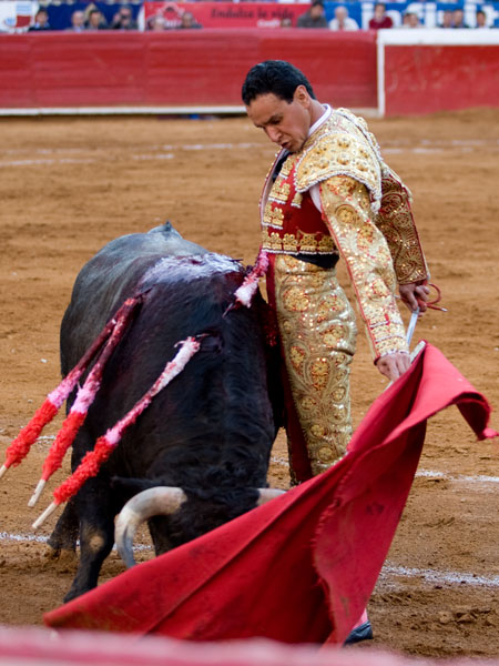 Bello el desd�n  (S.H)